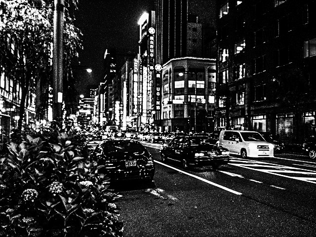 tokyo1_edited_resize_edited